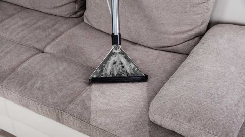 Image depicting the Service Upholstery Cleaning